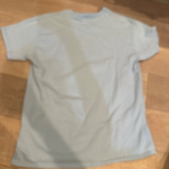 GILDAN MENS BLUE LARGE FANTASY FOOTBALL CHAMPION BRAGGING T SHIRT LARGE - Picture 7 of 7